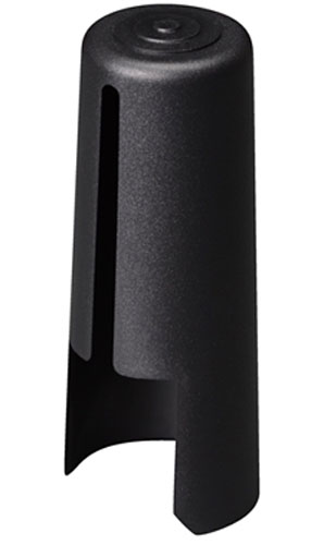 cap225.jpg